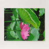 Bloeiende Roze Waterlelie Legpuzzel (Horizontaal)