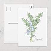 Bloeiende rozemarijn briefkaart (Voorkant / Achterkant)