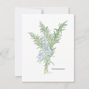 Bloeiende Rozemarijn Illustratie Notitiekaartje