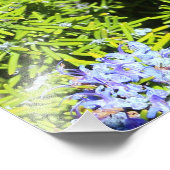 bloeiende rozemarijnstruik foto afdruk (Hoek)