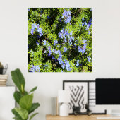 bloeiende rozemarijnstruik poster (Thuiskantoor)