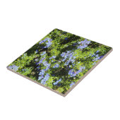 bloeiende rozemarijnstruik tegeltje (Zijkant)