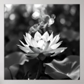 Bloeiende rust: Lotus houtskool kunst Poster (Voorkant)