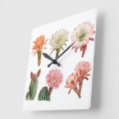 Bloeiende sappige planten vierkante klok (Hoek)