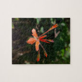 Bloeiende scharlaken schoonheid – De bloemensymfon Legpuzzel (Horizontaal)