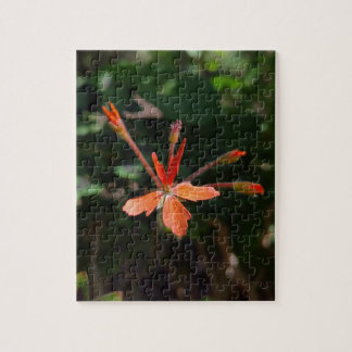 Bloeiende scharlaken schoonheid – De bloemensymfon Legpuzzel