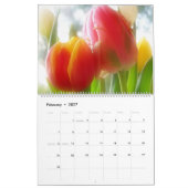 Bloeiende schoonheden kalender (Feb 2027)