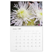 Bloeiende schoonheden kalender (Jan 2027)