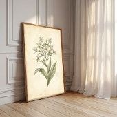 Bloeiende Tabak Botanische Muurkunstprint Poster