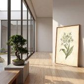 Bloeiende Tabak Botanische Muurkunstprint Poster