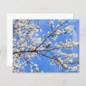 bloeiende tak (Voorkant / Achterkant)