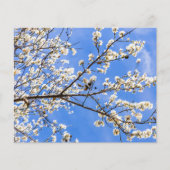 bloeiende tak (Voorkant)