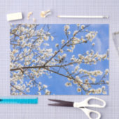 bloeiende tak tissuepapier (Craft)