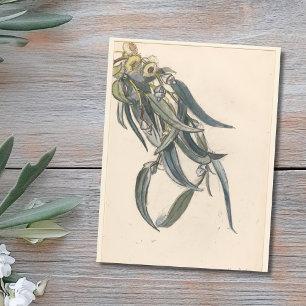 Bloeiende tak van een eucalyptusboom briefkaart