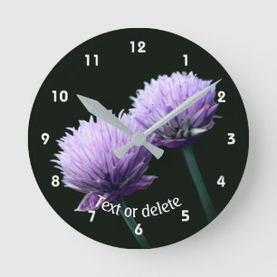 Bloeiende Ui Allium Persoonlijk Ronde Klok