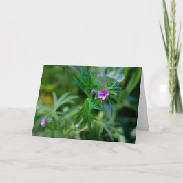 Bloeiende Violet Musk Mallow Wenskaart Bedankkaart