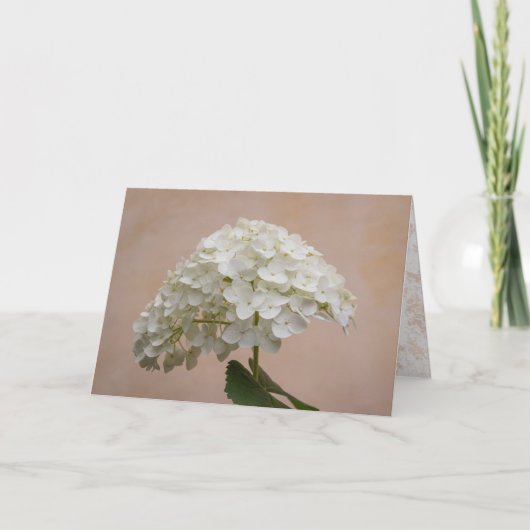 Bloeiende Vriendschap - Filippenzen 1:3 Note Kaart (Voorkant)