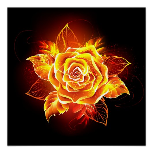 Bloeiende Vuur Roos Perfect Poster (Voorkant)