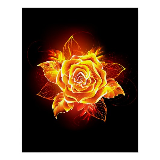 Bloeiende Vuur Roos Perfect Poster (Voorkant)