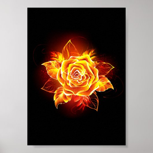 Bloeiende Vuur Roos Poster (Voorkant)