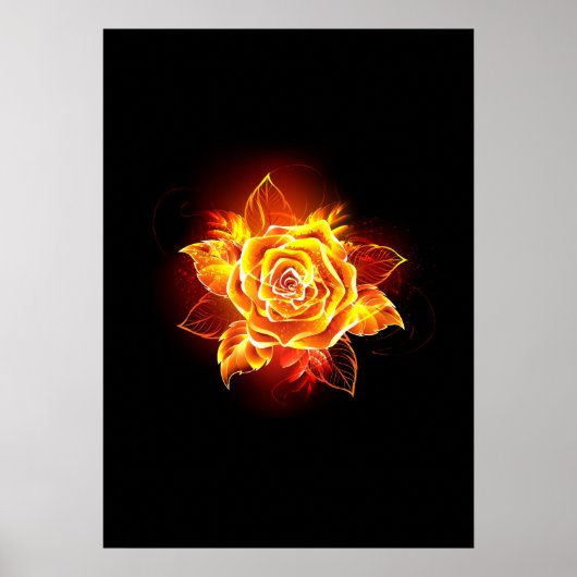 Bloeiende Vuur Roos Poster (Voorkant)