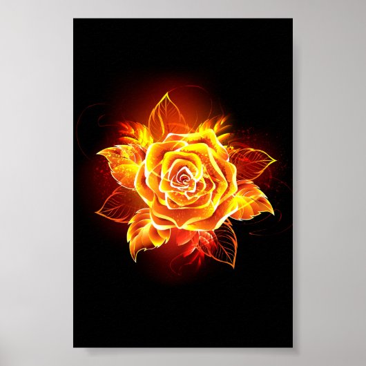 Bloeiende Vuur Roos Poster (Voorkant)