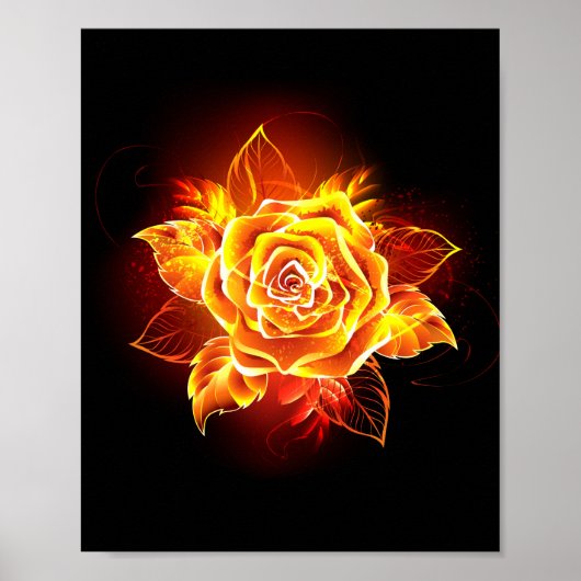 Bloeiende Vuur Roos Poster (Voorkant)