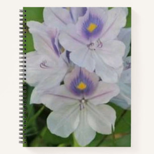 Bloeiende Waterhyacint - Tropische Waterbloem Notitieboek