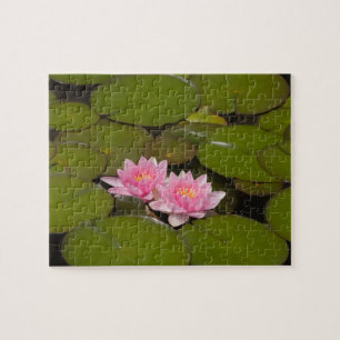 Bloeiende waterlelies legpuzzel