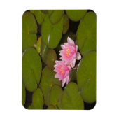 Bloeiende waterlelies magneet (Verticaal)
