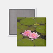 Bloeiende waterlelies magneet (Voorkant / Achterkant)