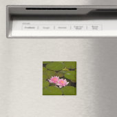 Bloeiende waterlelies magneet (Insitu (Vaatwasser))