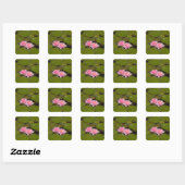 Bloeiende waterlelies vierkante sticker (Vel)