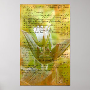 Bloeiende witte bloem  handschrift poster