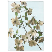 Bloeiende Witte Dogwood Bloemen Klembord (Achterkant)