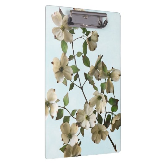 Bloeiende Witte Dogwood Bloemen Klembord (Rechts)