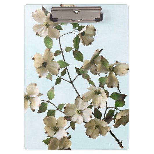Bloeiende Witte Dogwood Bloemen Klembord (Voorkant)