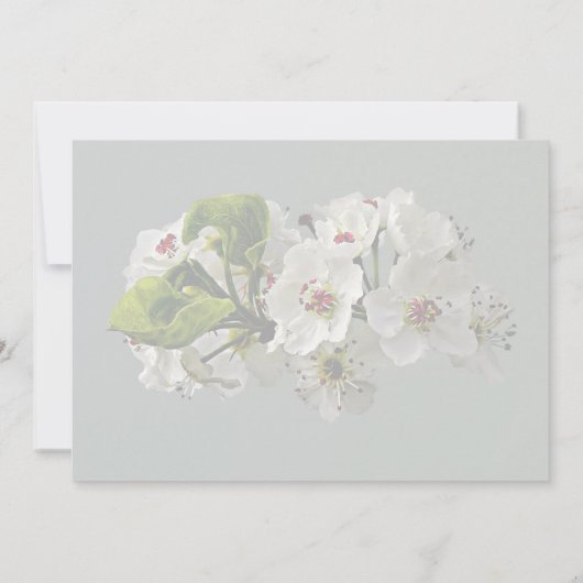Bloeiende witte peer bloesems Trouwbenodigdheden Kaart (Achterkant)