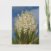 Bloeiende yucca, bloemen, zuidwesten blanco begroe kaart (Voorkant)