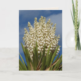 Bloeiende yucca, bloemen, zuidwesten blanco begroe kaart