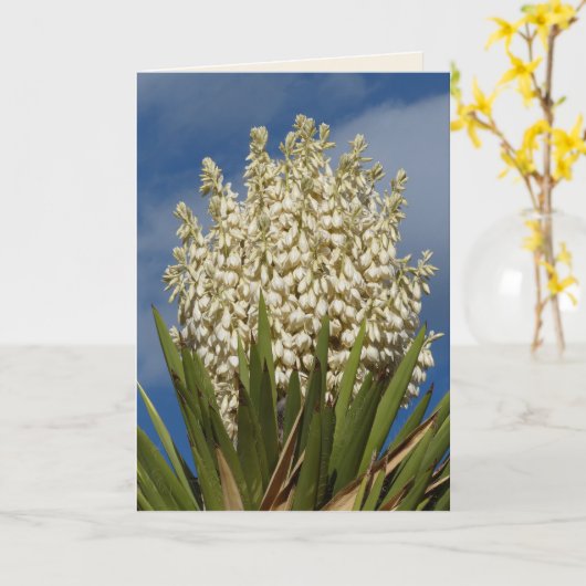 Bloeiende yucca, bloemen, zuidwesten blanco begroe kaart (Gele Bloem)