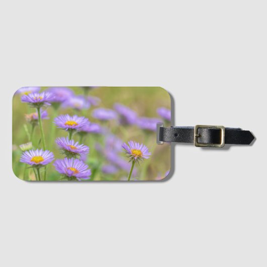 Bloeiende Zee Daisies Bagagelabel (Voorkant (horizontaal))