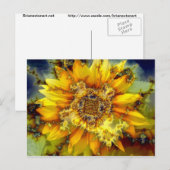 Bloeiende zon briefkaart (Voorkant / Achterkant)
