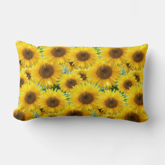 Bloeiende zonnebloemen kussen