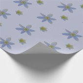 bloeit in het wit cadeaupapier (Hoek)