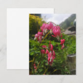 bloem (Voorkant / Achterkant)