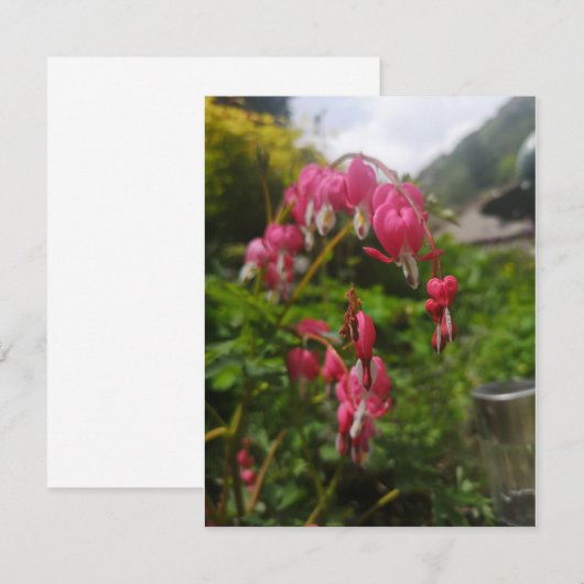 bloem (Voorkant / Achterkant)