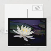 Bloem 039 Witte waterLily Briefkaart (Voorkant / Achterkant)
