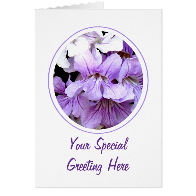 Bloem #13 (Voorkant)