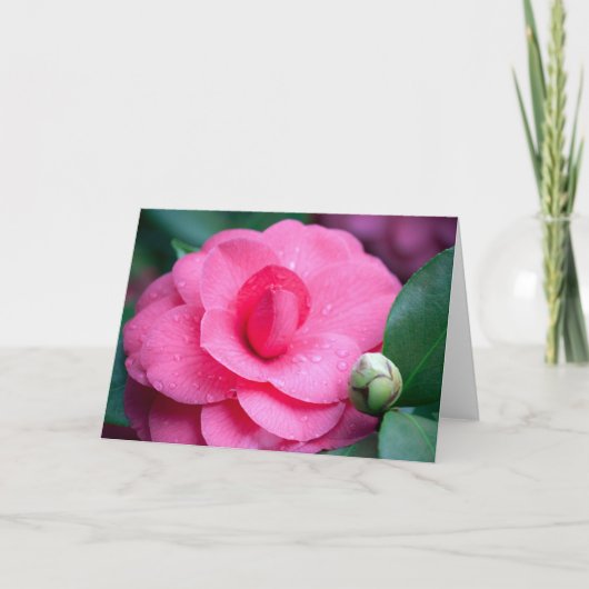 Bloem #1657 kaart (Voorkant)